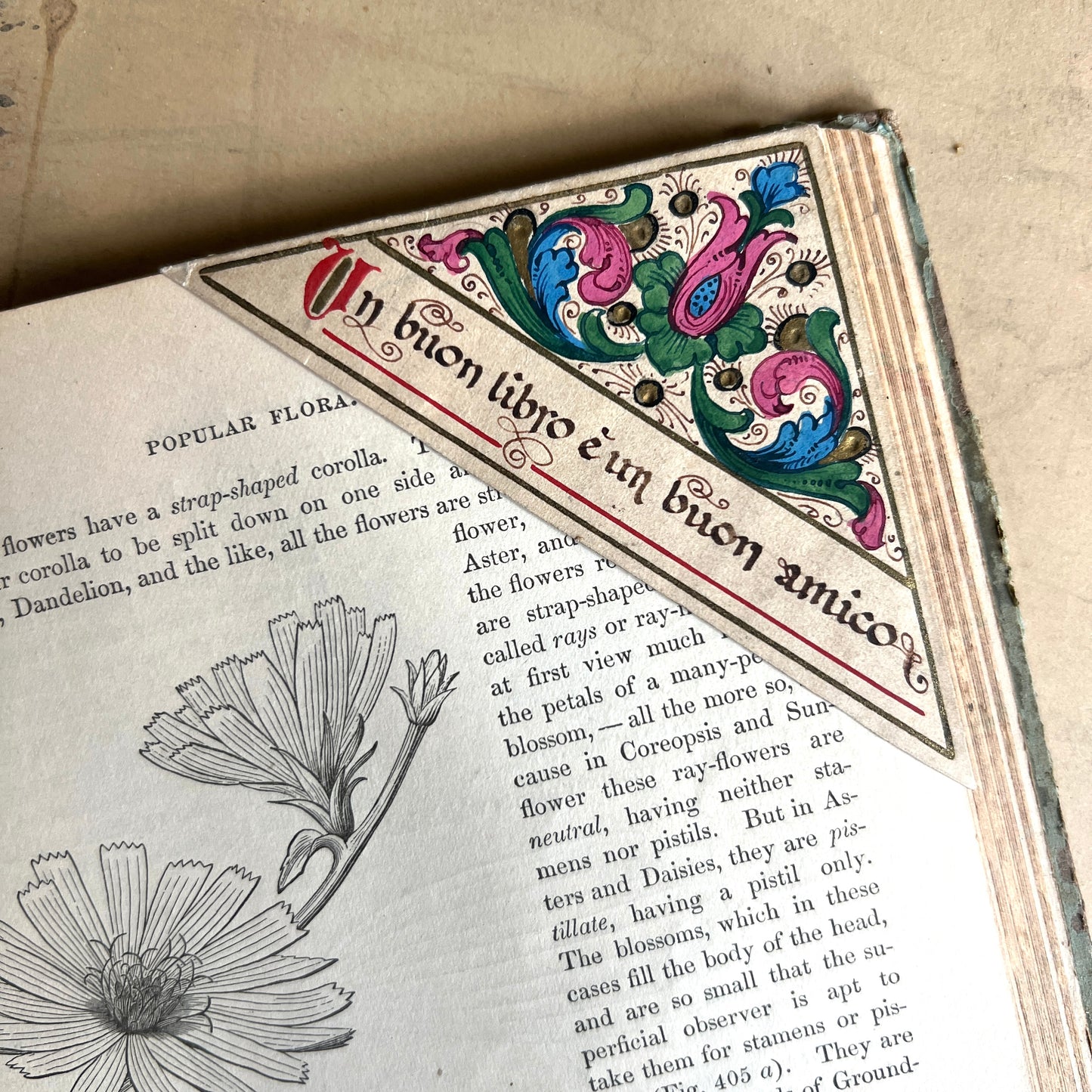 Antique Italian Hand-painted Corner Bookmark - "Un Buon Libro..."